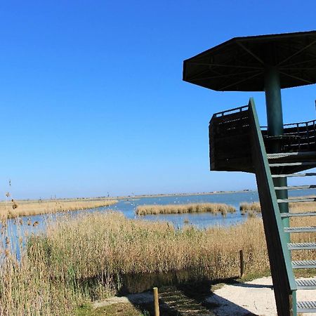 Quet - Casa Rural Con Piscina Privada En El Delta Del Ebro - Deltavacaciones Deltebre Buitenkant foto