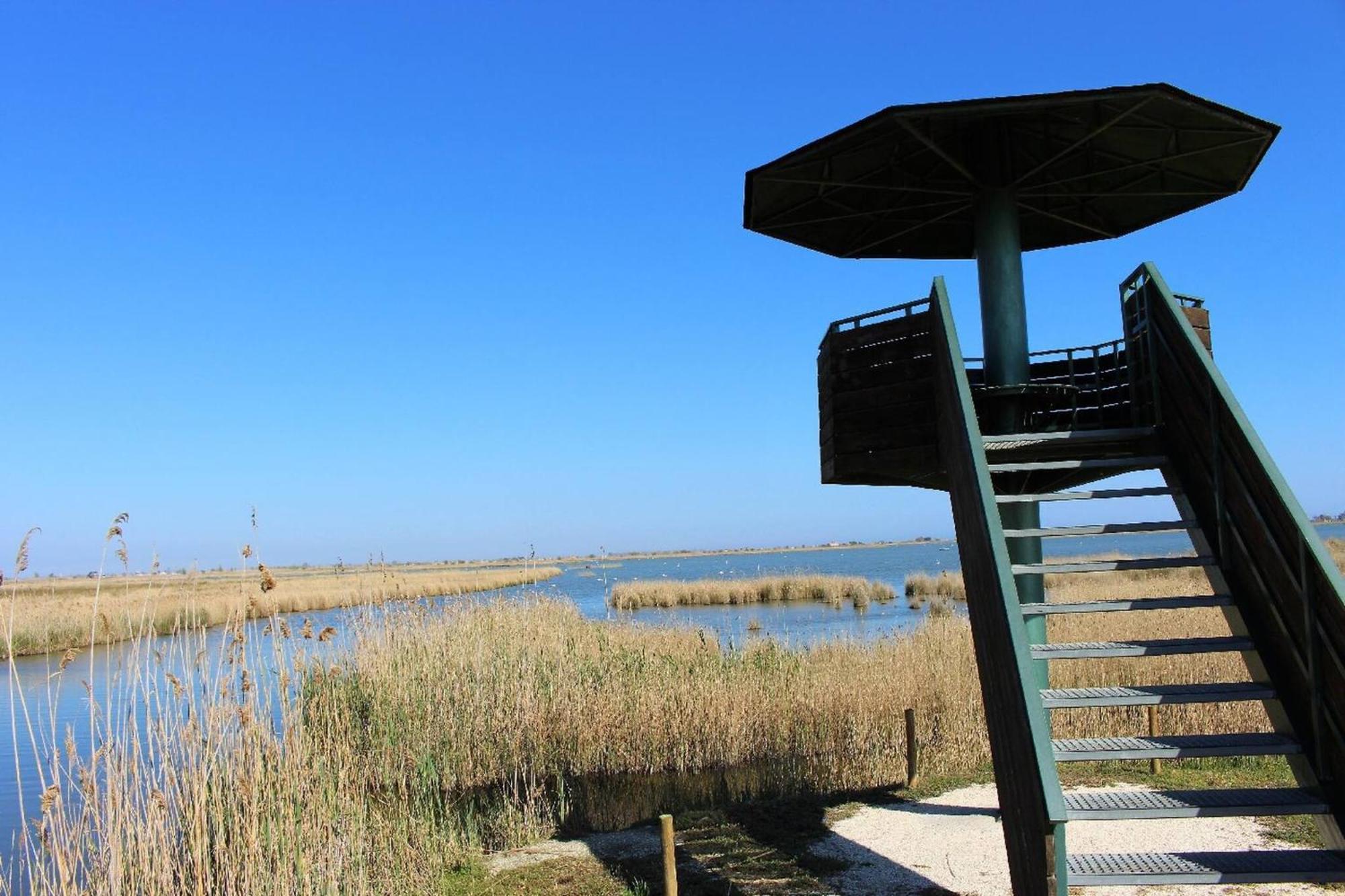 Quet - Casa Rural Con Piscina Privada En El Delta Del Ebro - Deltavacaciones Deltebre Buitenkant foto