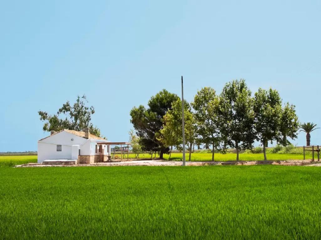 Quet - Casa Rural Con Piscina Privada En El Delta Del Ebro - Deltavacaciones Deltebre Buitenkant foto